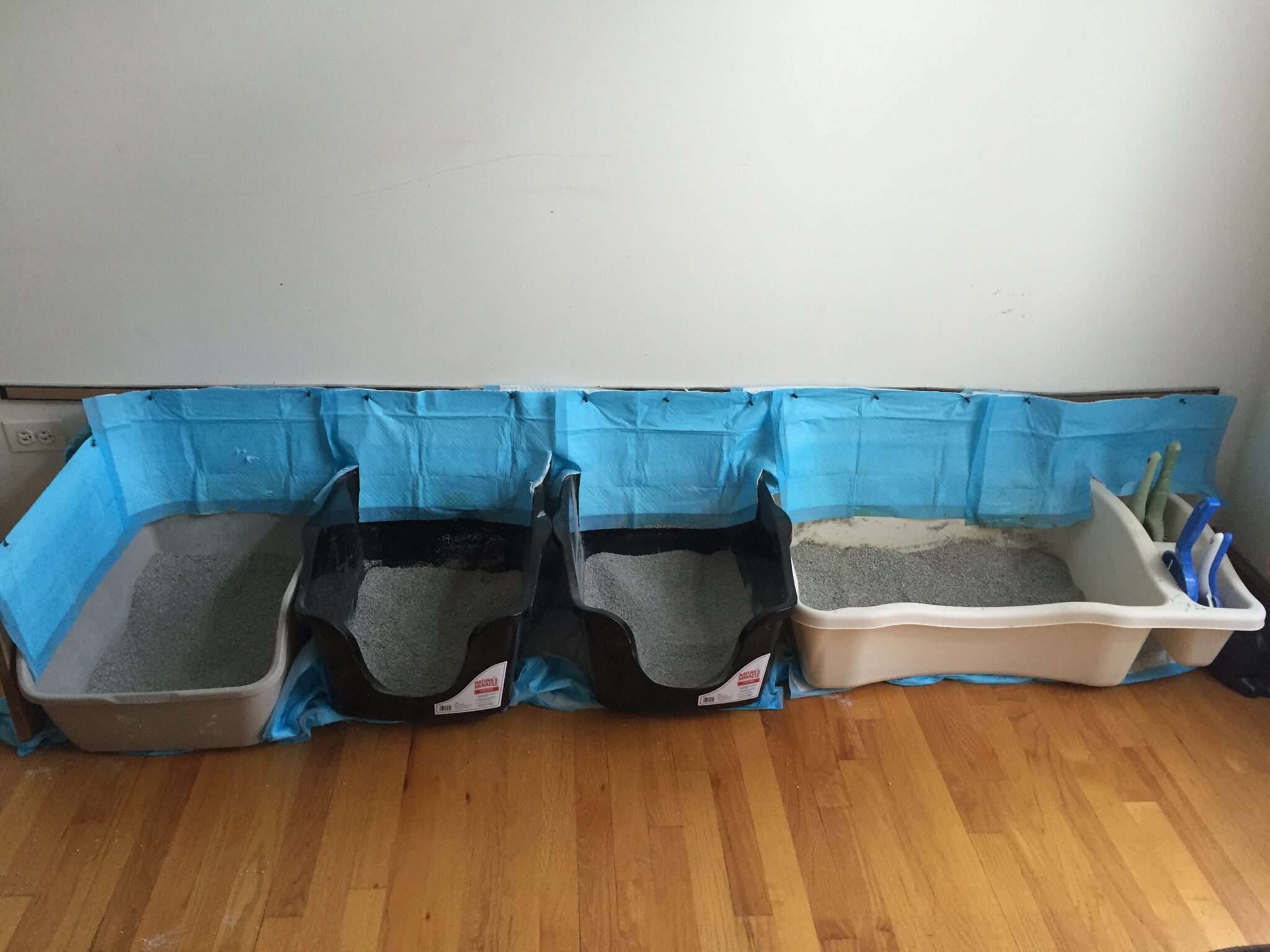 DIY INDOOR LITTER CAT GARDEN SANCTUARY The Catnip Times