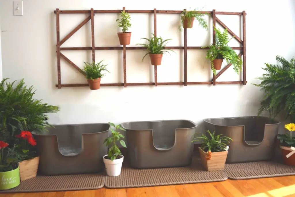 Head on: Trellis has small cat-safe plants and is affixed above the litter boxes.