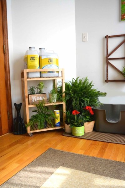 Left side: Garden cart with Tidy Cats Clean Blossom Litter and a variety of cat-safe plants.