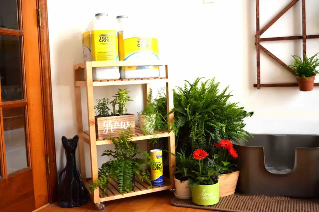 Left side: Garden cart with Tidy Cats Clean Blossom Litter and a variety of cat-safe plants.