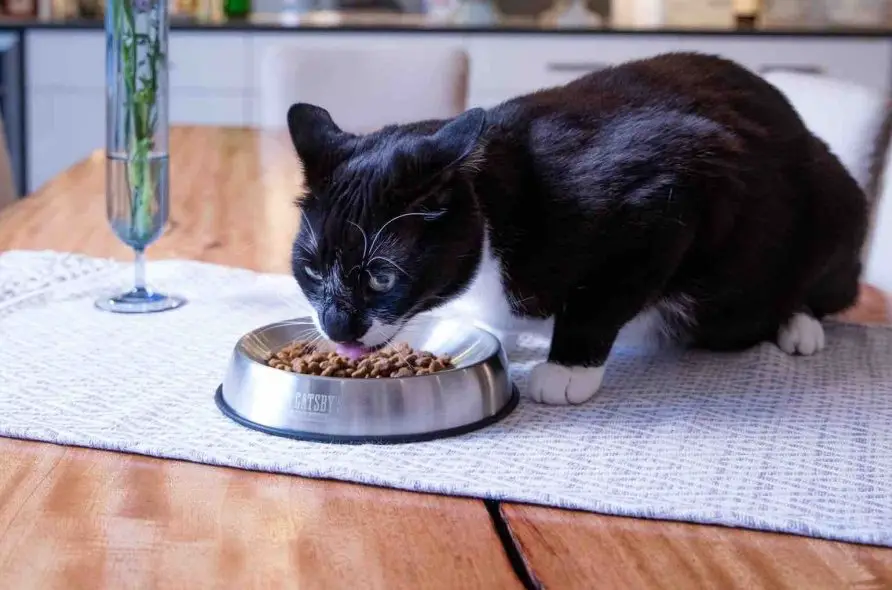 DR. CATSBY’S BOWL FOR WHISKER RELIEF