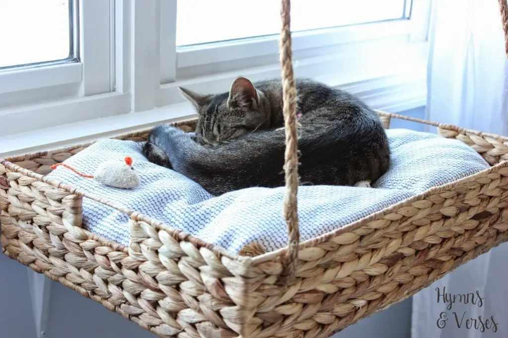 Hanging Basket Cat Perch