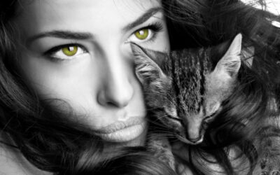 CRUELTY-FREE PRODUCTS FOR EVERY PRICE POINT