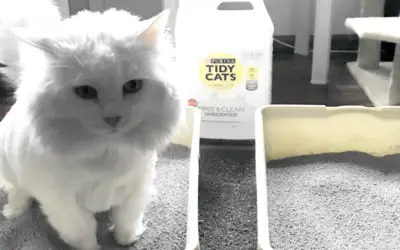 REVIEW: TIDY CATS FREE AND CLEAN UNSCENTED LITTER