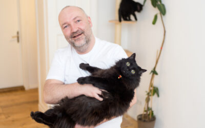 AIRBNB GUESTS ENJOY THE COMPANY OF CATS