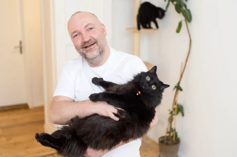 Cats at Airbnb properties make guest feel at home