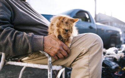 HUMANE HERO: WILLIE ORTIZ DEDICATES HIS LIFE TO HELPING COMMUNITY CATS