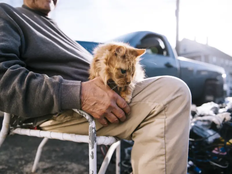 Willie Ortiz saves feral cats by selling scrap metal. Help his GoFundMe.