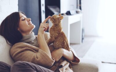 6 SKILLS YOU NEED TO BE A GREAT CAT SITTER