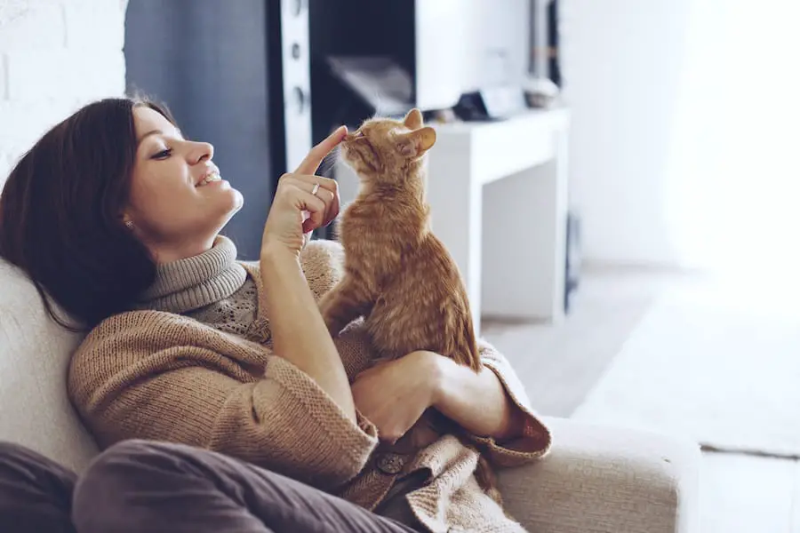 6 SKILLS YOU NEED TO BE A GREAT CAT SITTER