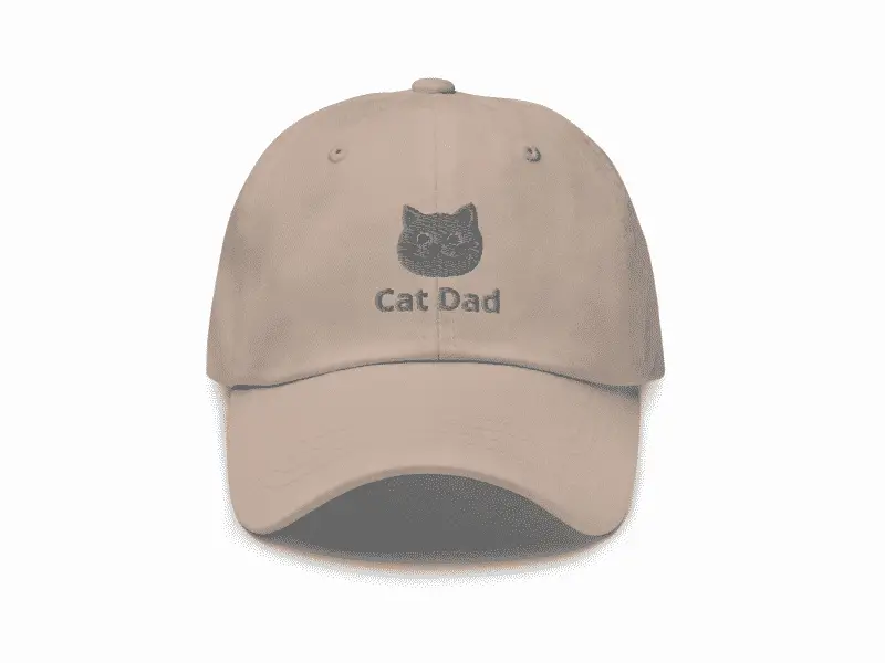 Cat hats for humans