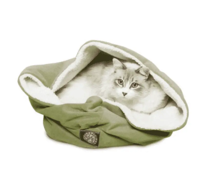cat in burrow bed