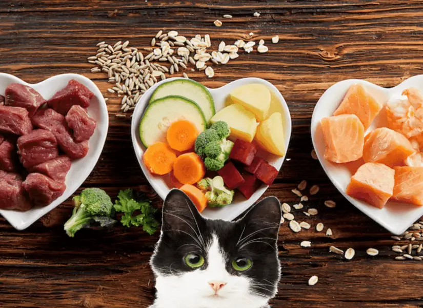healthy fresh ingredients for pet food in individual heart-shaped bowls viewed from overhead with chopped raw beef, liver and chicken , mixed vegetables and grains