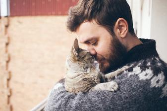 REGISTERING YOUR CAT AS AN EMOTIONAL SUPPORT ANIMAL | The Catnip Times
