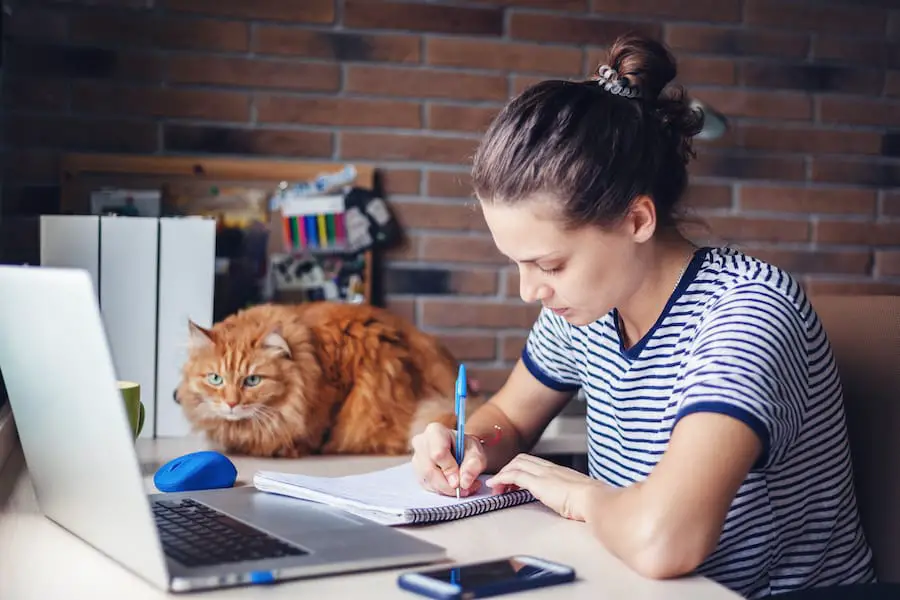 Girl student freelancer working with laptop at home by the window, education and remote work, programmer, online business