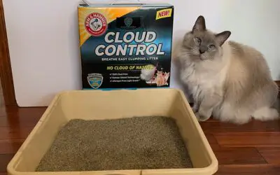 Review: ARM & HAMMER™ Cloud Control™ Clumping Cat Litter