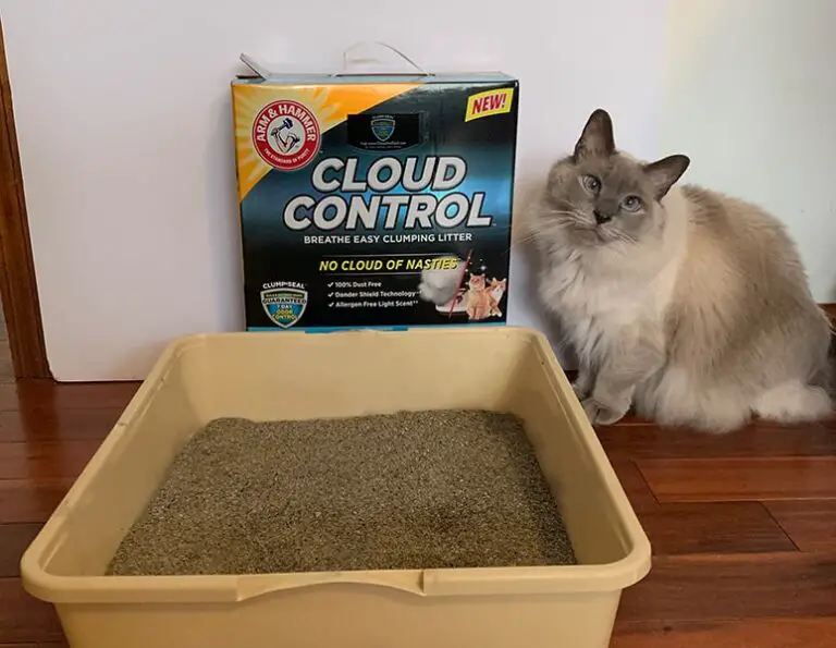 Review ARM & HAMMER™ Cloud Control™ Clumping Cat Litter The Catnip Times