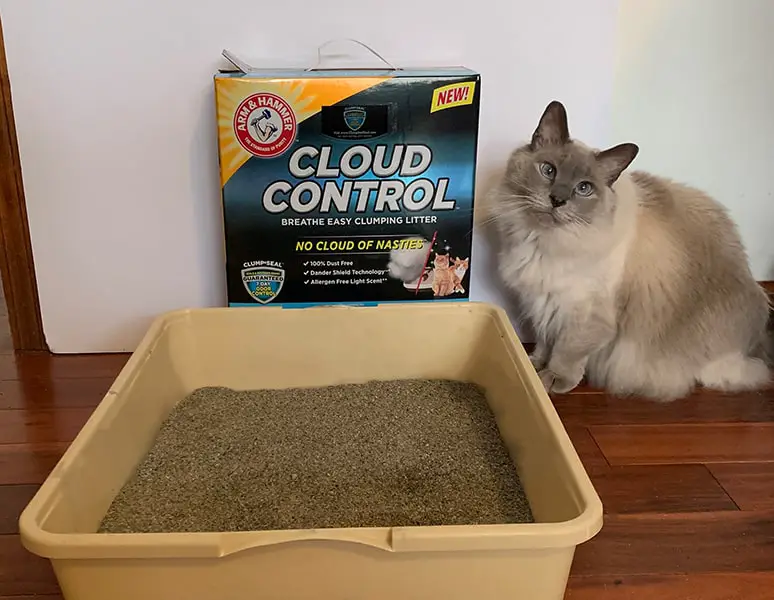 Review: ARM & HAMMER™ Cloud Control™ Clumping Cat Litter
