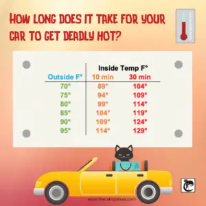 Chart - How long does it take for your car to get deadly hot