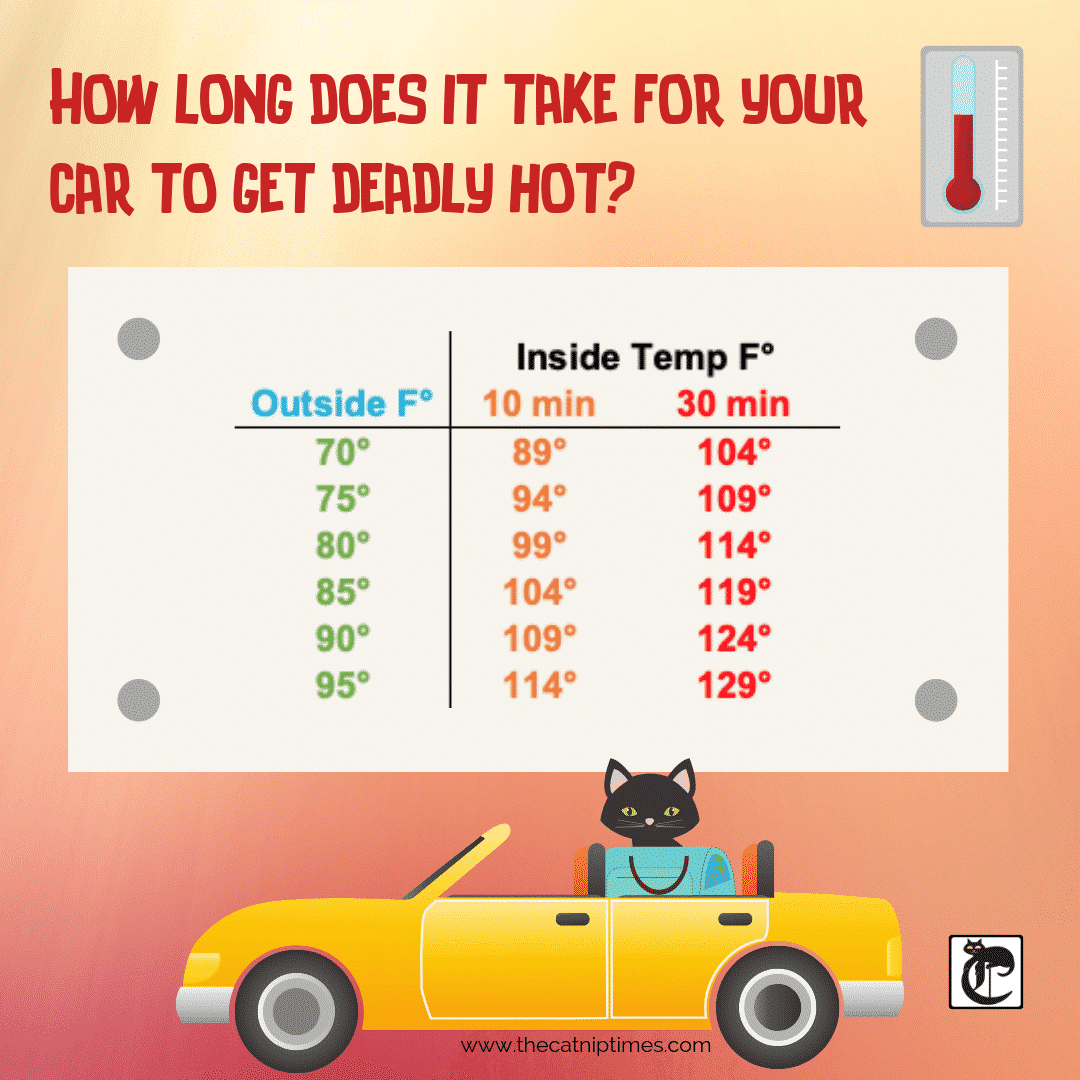 How long does it take for your car to get deadly hot_