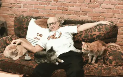 Man Spends Volunteer Time Sleeping with Cats