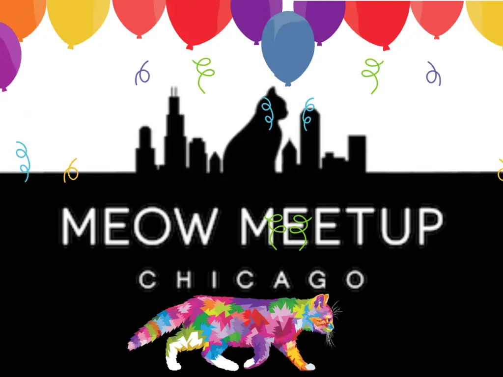 Meow MeetUp Celebrate Cats