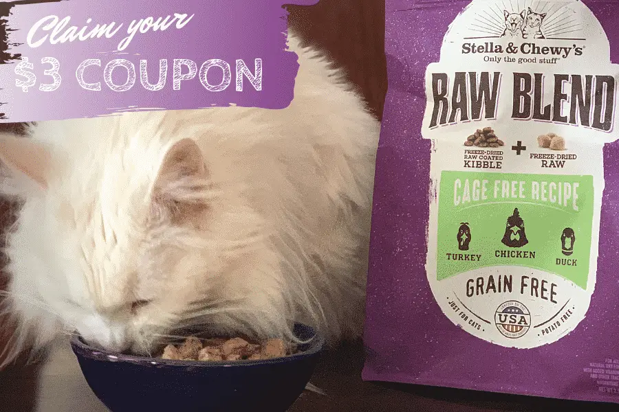 Stella & Chewy’s Raw Coated Cat Kibble Review