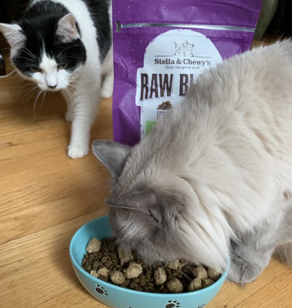 The Catnip Times' trial of Stella & Chewy's raw coated cat kibble