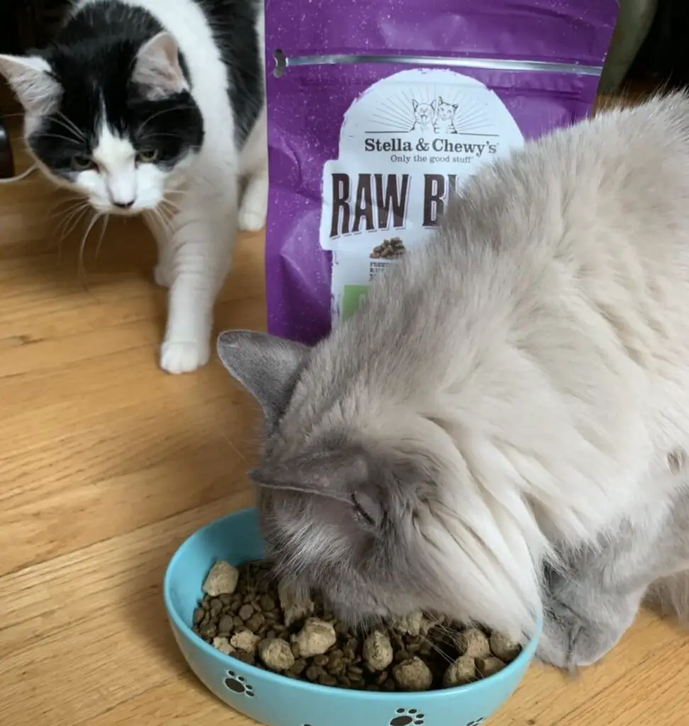 Sweet Pea and Rocket S & C Review