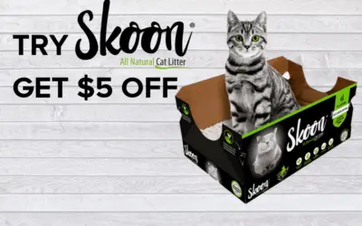 Skoon Cat Litter Review
