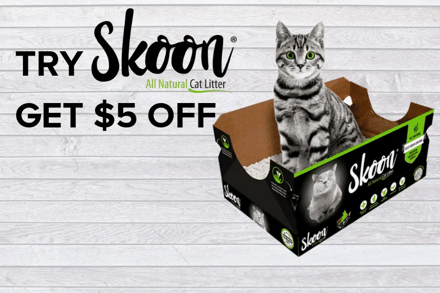 Skoon Cat Litter Review