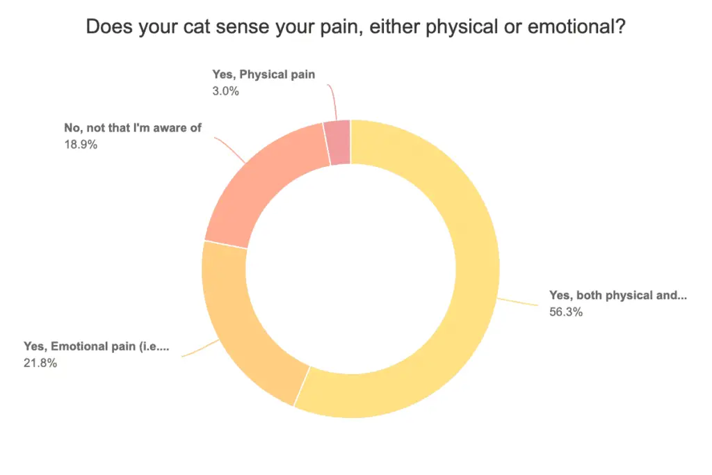 chart results do cats sense human pain