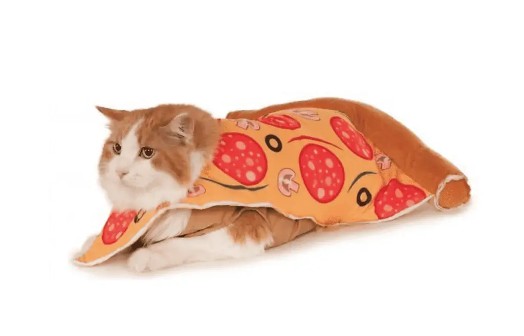 pizza cat costume