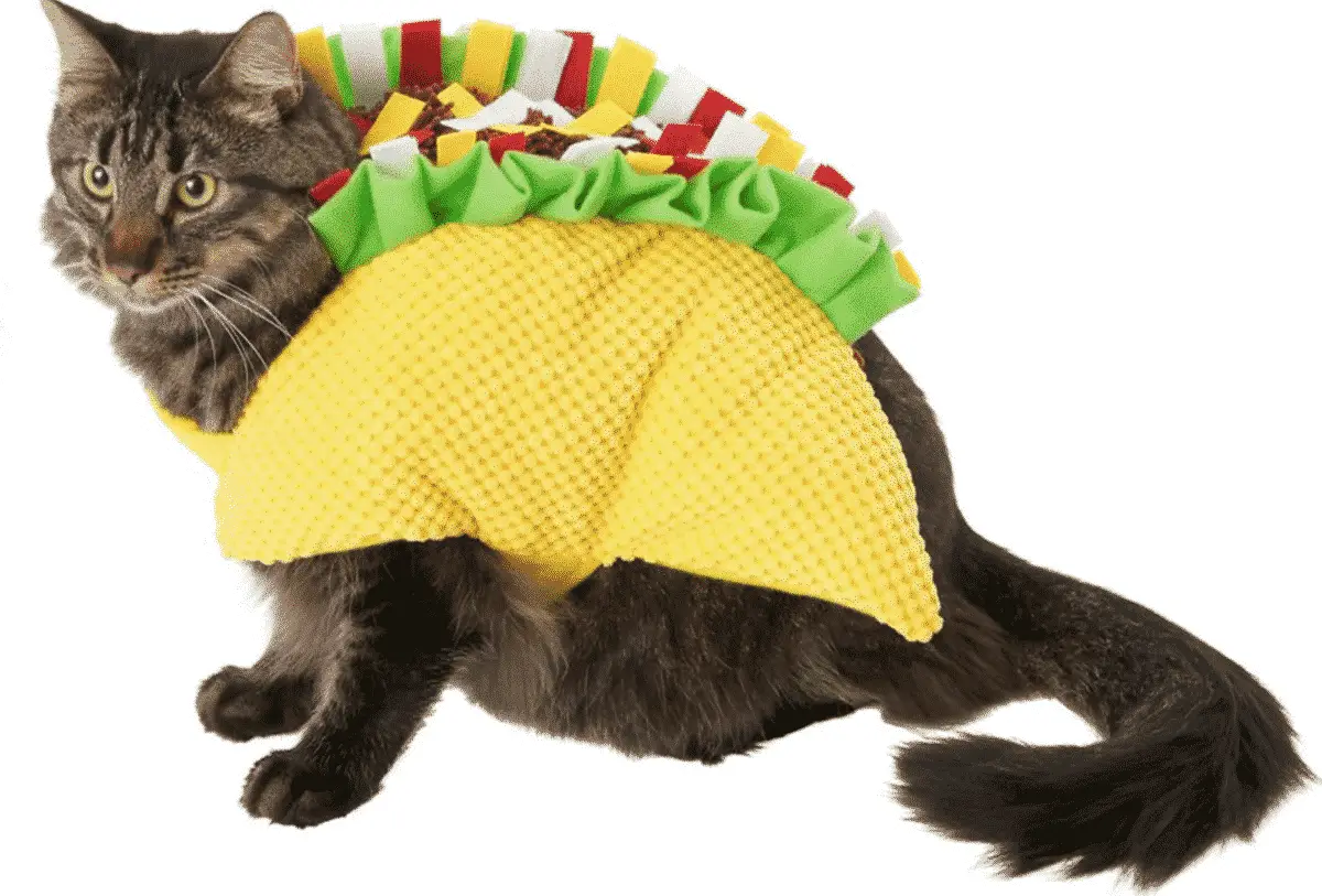 Taco Cat Costume