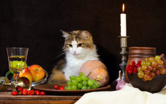still life with cat pumpkin grapes dog rose green bottle grapes viburnum apples glass and tin glasses and a burning candle in a candlestick