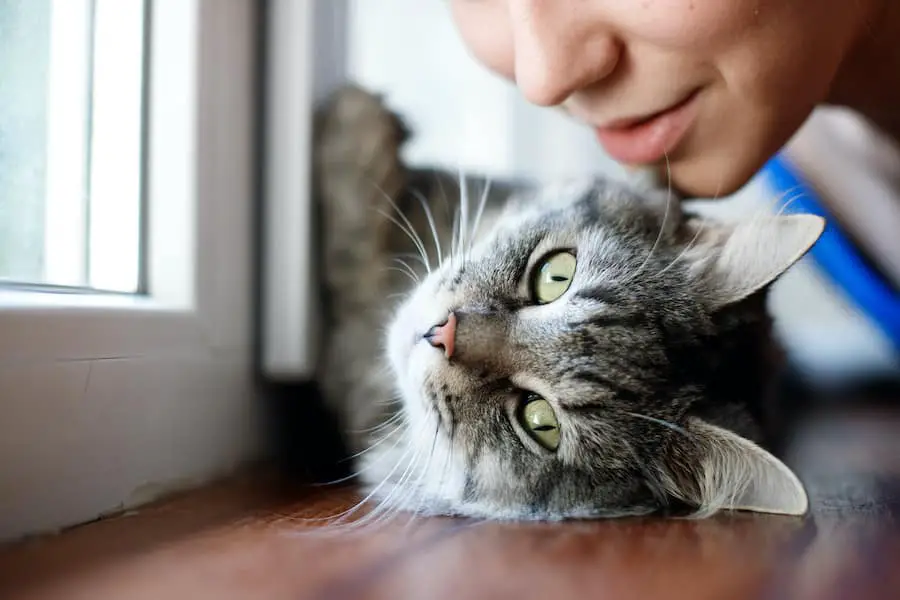 How Pets Can Help You Cope with Loneliness During the Holidays