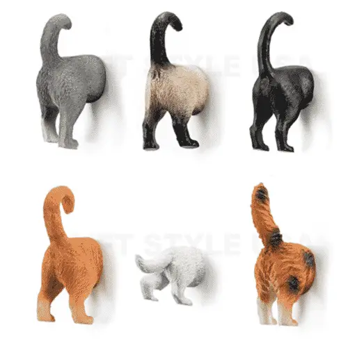 cat butt magnets