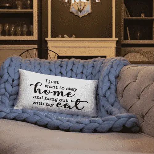 I just want to stay home and hang out with my cat throw pillow
