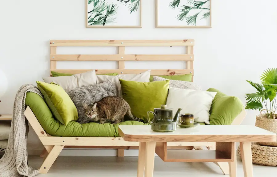 Bright living room with wood furniture, green upholstery and a cat laying on the couch