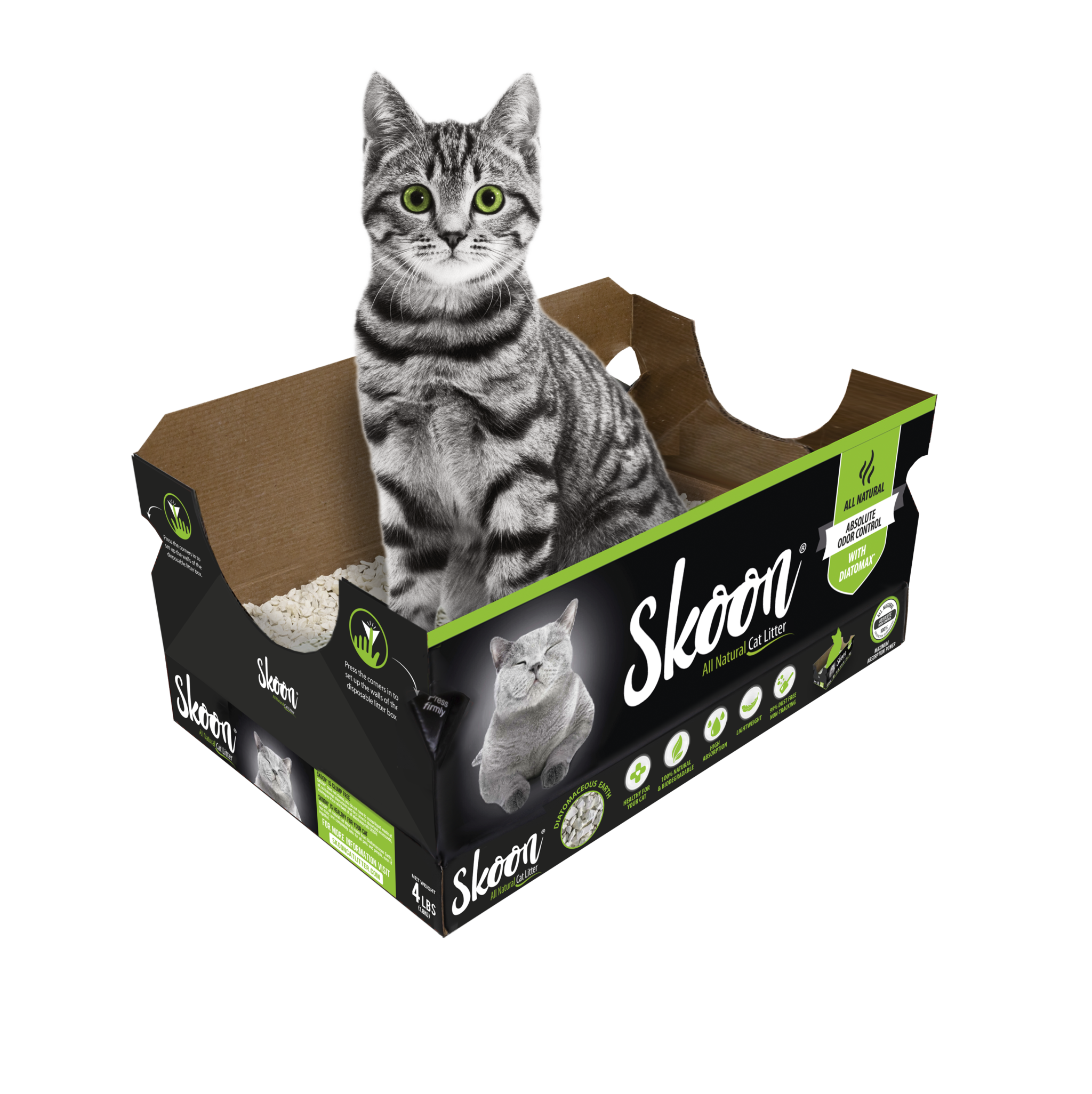 Cat sitting inside box of Skoon cat litter
