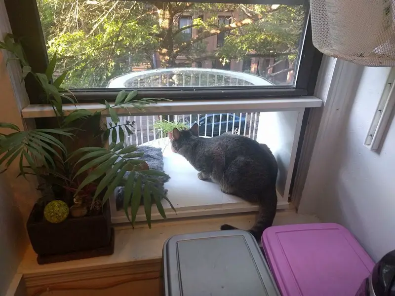 https://www.instructables.com/id/Window-Catio-Cat-Patio/