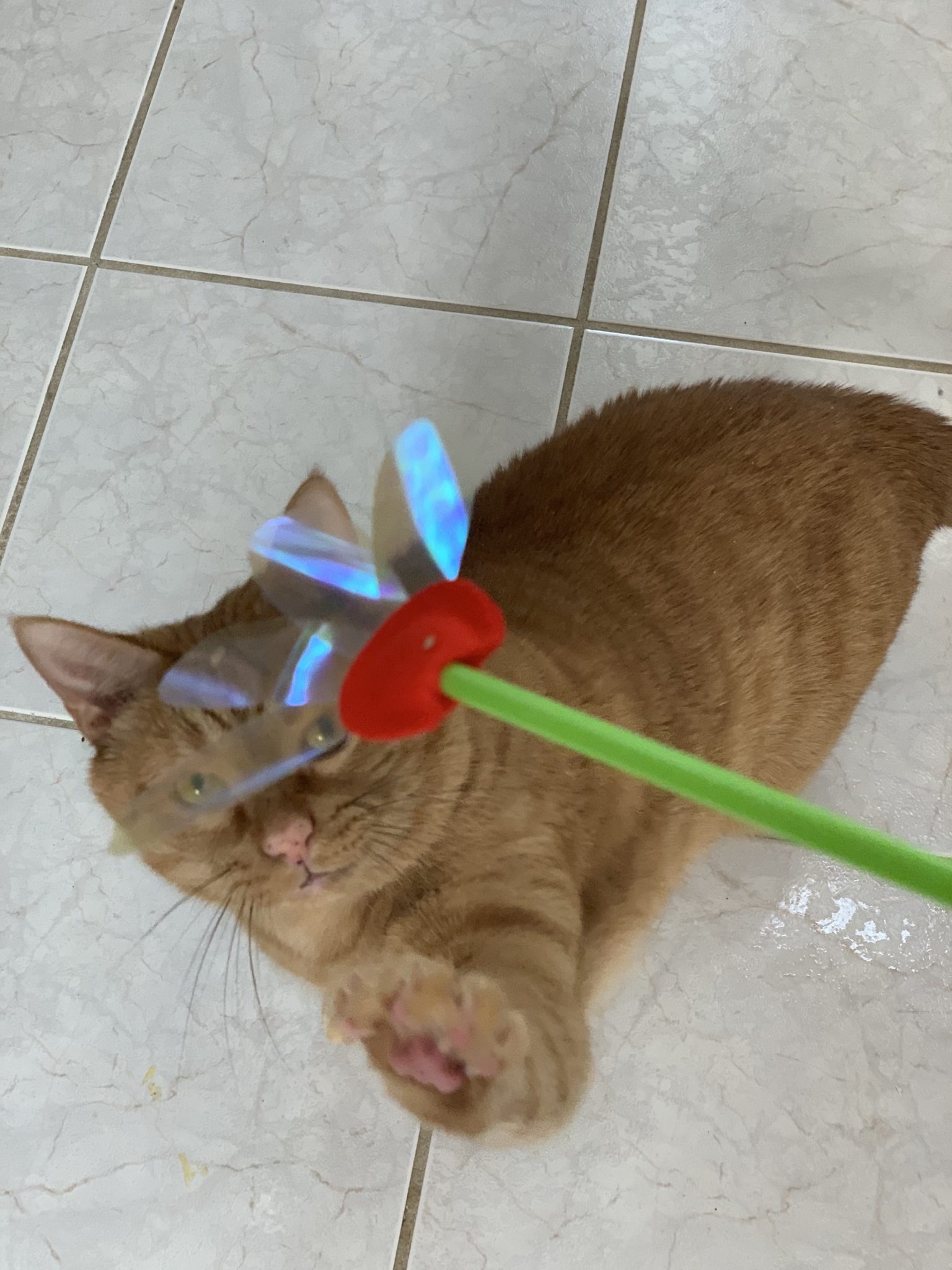 Rustlin Iridescent Teaser