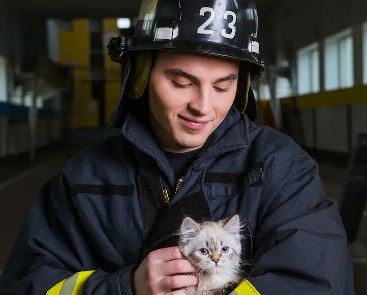 fireman holding tiny kitten