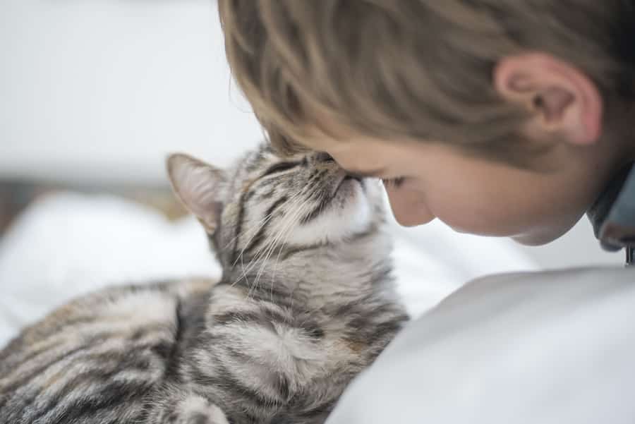 boy in tune with his cat