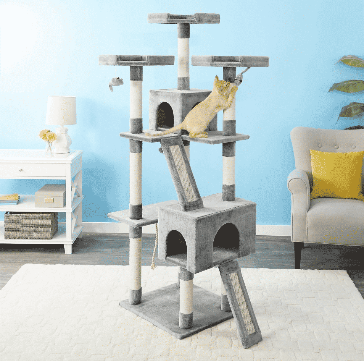 cat tower from Frisco