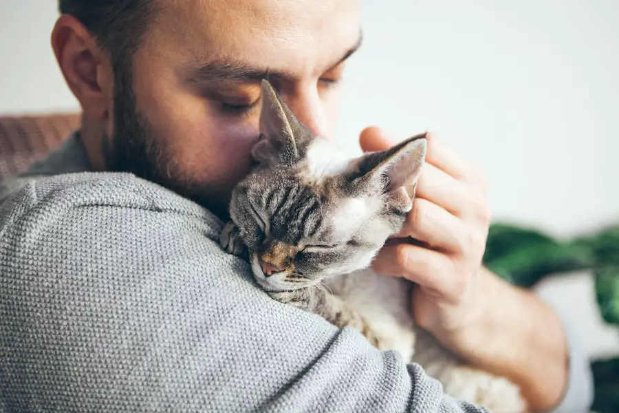 Taking Care of Your Cat During End-of-Life