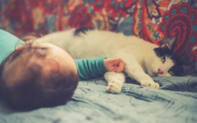 Introducing Your Cat To Your Baby