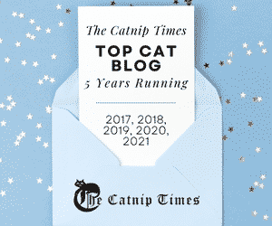 The Catnip Times Best Cat Blog