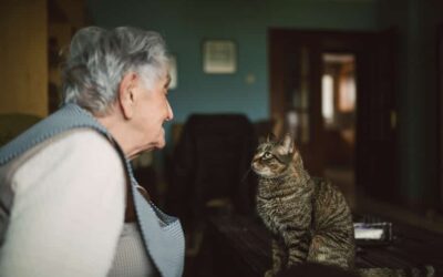 101-Year-Old Woman Adopts Oldest Cat At Shelter