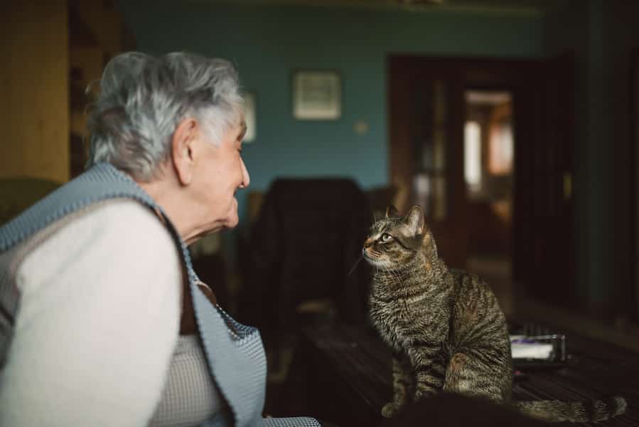 101-Year-Old Woman Adopts Oldest Cat At Shelter